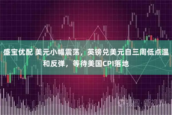 盛宝优配 美元小幅震荡，英镑兑美元自三周低点温和反弹，等待美国CPI落地