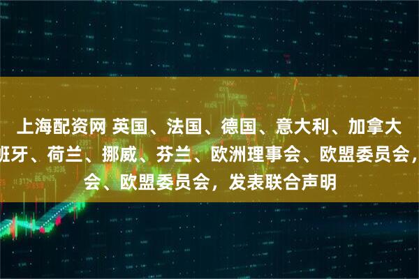 上海配资网 英国、法国、德国、意大利、加拿大、爱尔兰、西班牙、荷兰、挪威、芬兰、欧洲理事会、欧盟委员会，发表联合声明